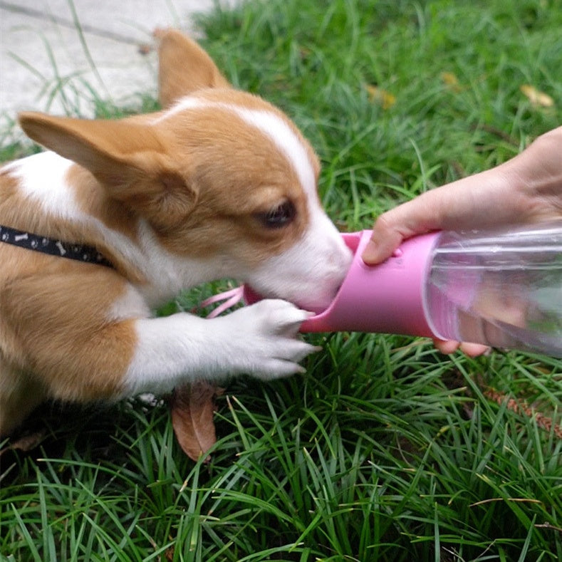 3-in-1 Portable Dog Travel Water Bottle & Food Container (Dishwasher Safe).
