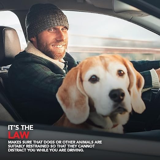 Dog Car Seat Belt Bungee